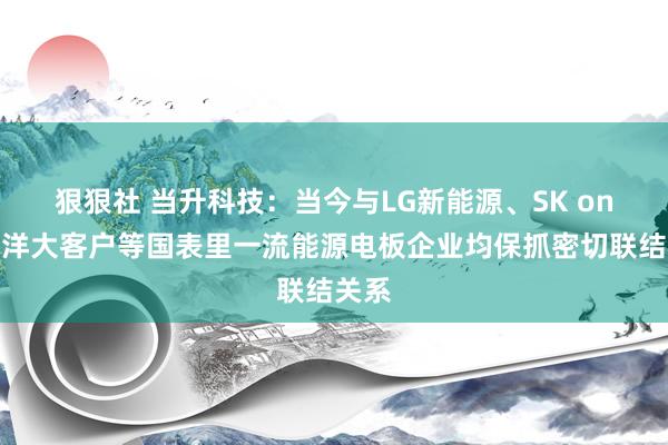 狠狠社 当升科技：当今与LG新能源、SK on、西洋大客户等国表里一流能源电板企业均保抓密切联结关系