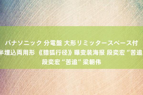 パナソニック 分電盤 大形リミッタースペース付 露出・半埋込両用形 《猎狐行径》曝变装海报 段奕宏“苦追”梁朝伟