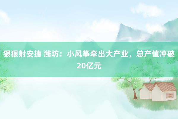 狠狠射安捷 潍坊：小风筝牵出大产业，总产值冲破20亿元