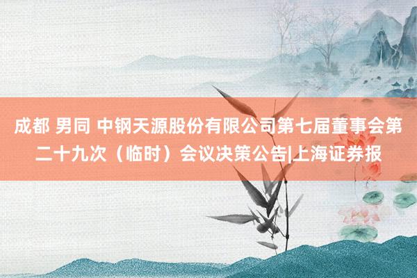 成都 男同 中钢天源股份有限公司第七届董事会第二十九次（临时）会议决策公告|上海证券报