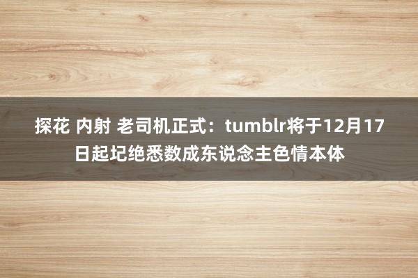 探花 内射 老司机正式：tumblr将于12月17日起圮绝悉数成东说念主色情本体