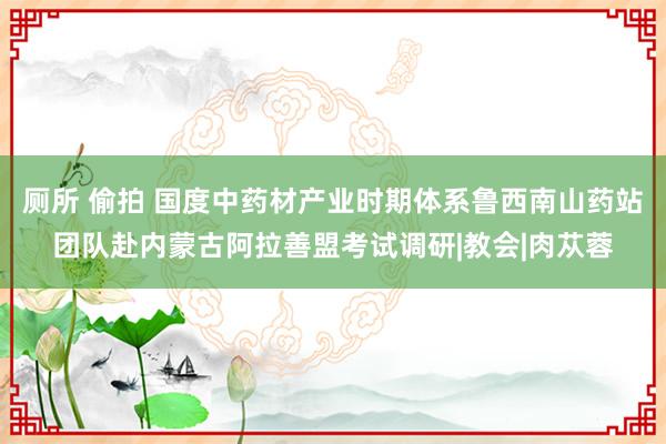 厕所 偷拍 国度中药材产业时期体系鲁西南山药站团队赴内蒙古阿拉善盟考试调研|教会|肉苁蓉