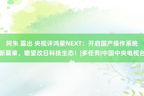 阿朱 露出 央视评鸿蒙NEXT：开启国产操作系统新篇章，瞻望改日科技生态！|多任务|中国中央电视台