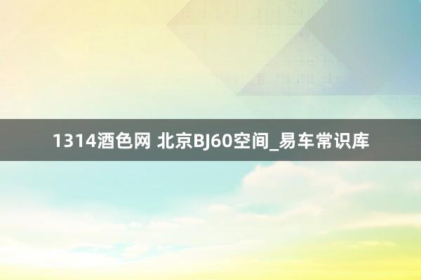 1314酒色网 北京BJ60空间_易车常识库