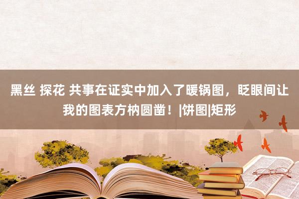 黑丝 探花 共事在证实中加入了暖锅图，眨眼间让我的图表方枘圆凿！|饼图|矩形