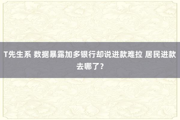 T先生系 数据暴露加多银行却说进款难拉 居民进款去哪了？