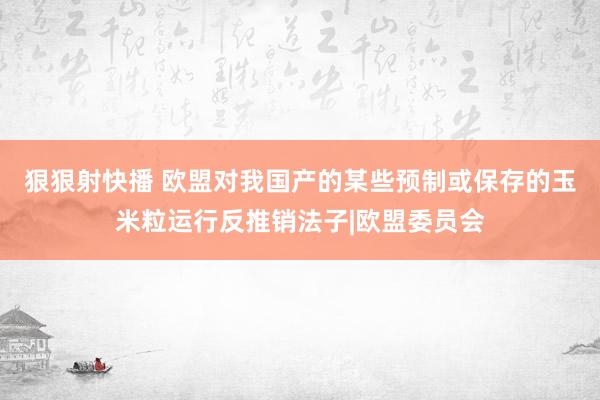 狠狠射快播 欧盟对我国产的某些预制或保存的玉米粒运行反推销法子|欧盟委员会