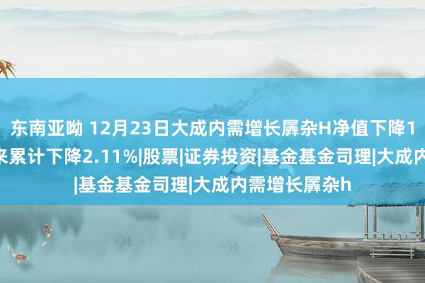 东南亚呦 12月23日大成内需增长羼杂H净值下降1.64%，本年来累计下降2.11%|股票|证券投资|基金基金司理|大成内需增长羼杂h