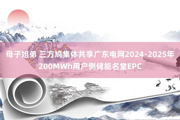 母子姐弟 三方鸠集体共享广东电网2024-2025年200MWh用户侧储能名堂EPC